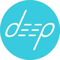 Deep Solutions logo - Similar company to Mitek Systems Es