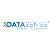 Data Sense Consulting logo - Similar company to Data Sense