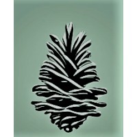 Conifer Advisory Services logo - Similar company to Nocu Partners