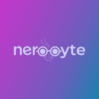 NerdyByte Technologies logo - Similar company to Technetbook