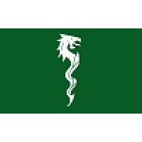 Green Dragon Da Nino