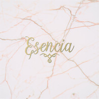 esencia lencería logo - Similar company to Flamingo Boxers