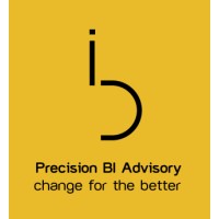PrecisionBI Advisory logo - Similar company to Amel Facilities