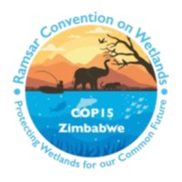 Wetlands COP15 Victoria Falls ZW logo - Similar company to International Centre For Sustainable Carbon (Icsc)