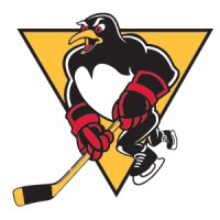 Wilkes-Barre/Scranton Penguins logo - Similar company to Nepirc