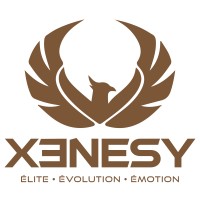 Xenesy LTD logo - Similar company to Marketsense