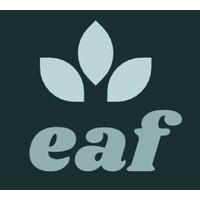 Ethiopian Adoptees Foundation logo - Similar company to Beteseb Felega ቤተሰብ ፍለጋ - Ethiopian Adoption Connection