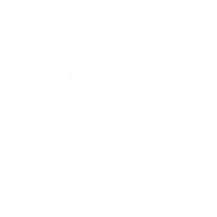 Strategy And Management Services, Inc. (Sams)