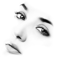 Seven Interactive, LLC logo - Similar company to Webstation Global Business Solutions