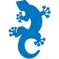 GECKOTECH SOLUTIONS LIMITED logo - Similar company to Can Structures Limited