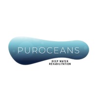 PurOceans Technology logo - Similar company to Birgermind