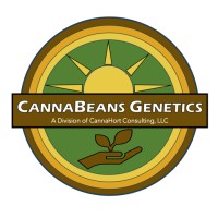CannaBeans Genetics logo - Similar company to Future Cannabis Project