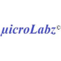 microLabz(C) Research Services Pvt. Ltd. logo - Similar company to Skill Development Institute