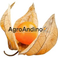 AgroAndino SRL logo - Similar company to Fito Export