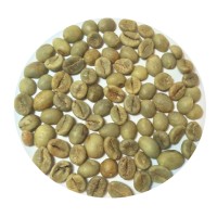 Robusta Arabica Coffee Market logo - Similar company to Coffee Universal