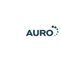 Auro GmbH logo - Similar company to Reischauer Gmbh