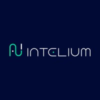 Intelium logo - Similar company to Intellium