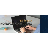 Normalis Consulting logo - Similar company to Fireshield Security