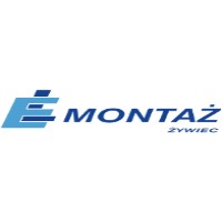 Elmontaż Sp. z o. o. logo - Similar company to Saferoad W Polsce