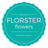 FLORSTER logo - Similar company to Proyectobiz