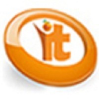 Orange It Consulting Services