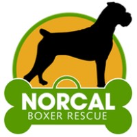 NORCAL BOXER RESCUE logo - Similar company to Boxer Luv Rescue