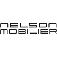 Nelson Mobilier logo - Similar company to Bde Mint
