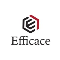 Efficace Ltd, Solutions in Risk and Compliance logo - Similar company to Puritas