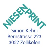 NiesenPrint Simon Kehrli logo - Similar company to Mirroco Ag