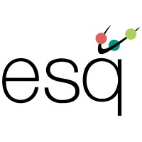 ESQ Data Solutions logo - Similar company to Intigate Technologies