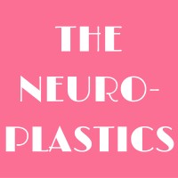 Neuroplastics Network logo - Similar company to Neural Engineering Data Consortium