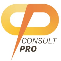 Consult Pro logo - Similar company to Adhook Media