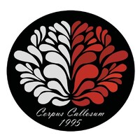 Corpus Callosum Halmstad logo - Similar company to Corpus Callosum Usc