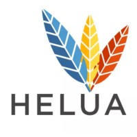 Helua Consultoria E Serviços
