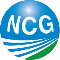 Newman Consulting Group, LLC logo - Similar company to Accessology