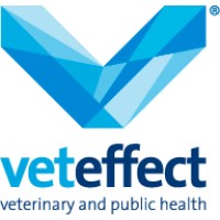 VetEffecT logo - Similar company to Impel Consultancy Ltd