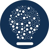 Insights Emerge LLC logo - Similar company to Decode Insights