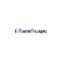 Learnscape logo - Similar company to Brand Grayscale