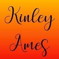 Kinley Ames logo - Similar company to Kinley Inc.