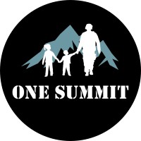 One Summit logo - Similar company to Active Crisis Consulting