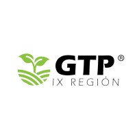 GTP® IX Región logo - Similar company to Dfm Technology