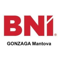 BNI Gonzaga - Mantova logo - Similar company to Autosight