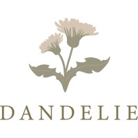 Dandelie logo - Similar company to Cilinder