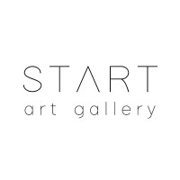StArt Art Gallery logo - Similar company to Palai Studio