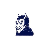BDVLS Apparel logo - Similar company to Prodigy Cheer Apparel