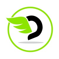 DesignoFly logo - Similar company to Social Development Foundation (Sdf)