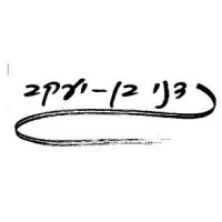 Danny Ben-Yaacov - Coach and business consultant logo - Similar company to 13 Op