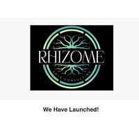 Rhizome Arts Consulting