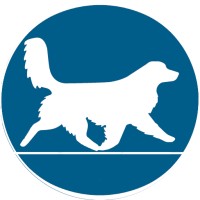 Furry Friends Pet Resort