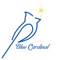 Blue Cardinal logo - Similar company to Forward Blue